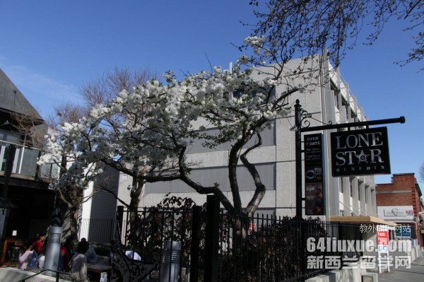 奥塔哥大学国际贸易好吗