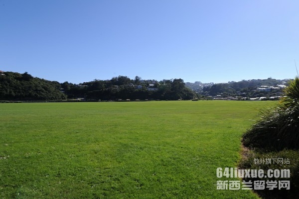 去新西兰读高中的费用