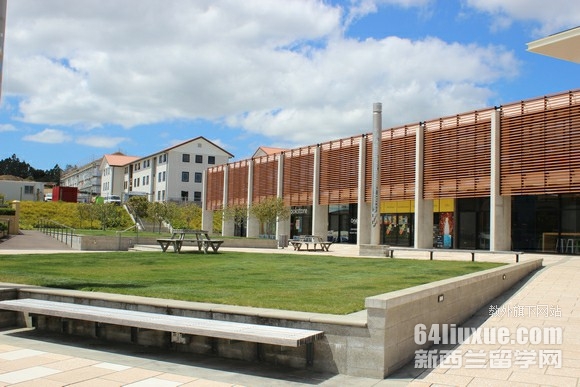 梅西大学申请条件