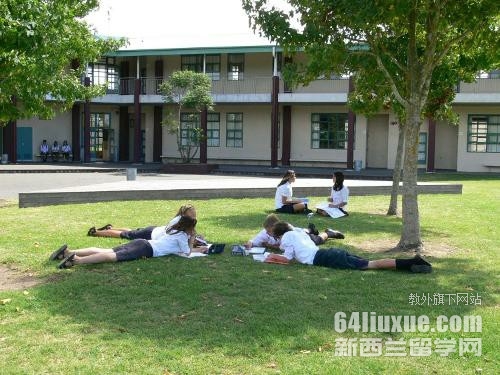 新西兰读商科好就业么