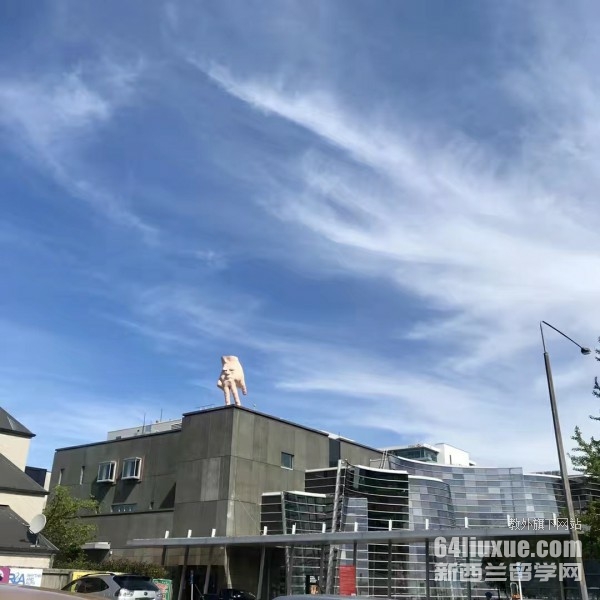 新西兰艺术专业哪个大学好