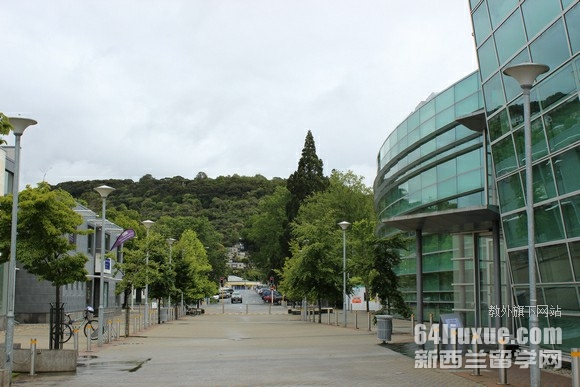 新西兰奥塔哥大学专业