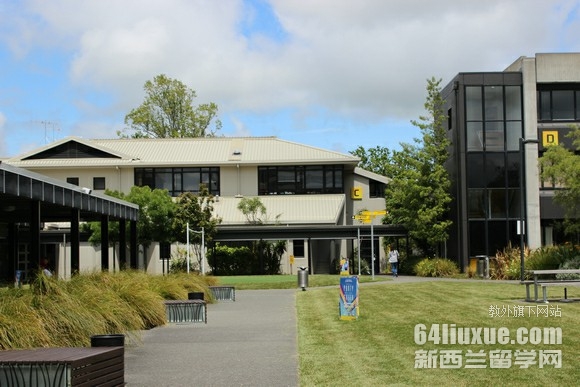 怀卡托理工学院设计专业