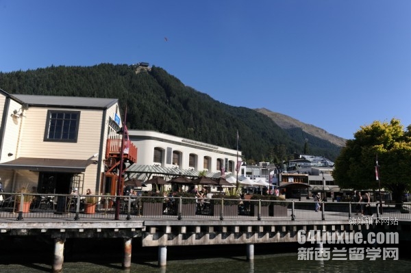 新西兰哪个中学比较好
