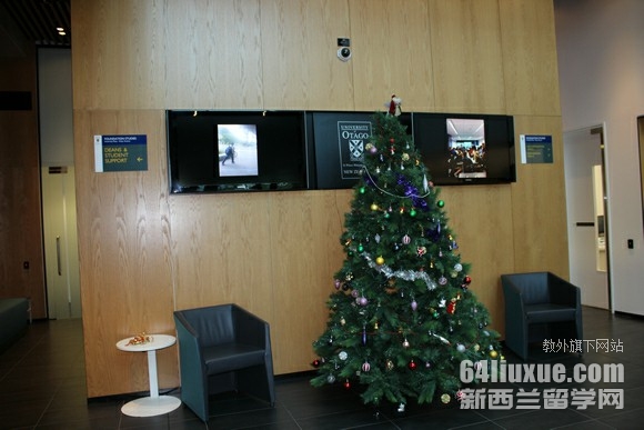 奥塔哥大学研究生传播学