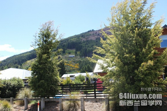 新西兰留学要多少钱