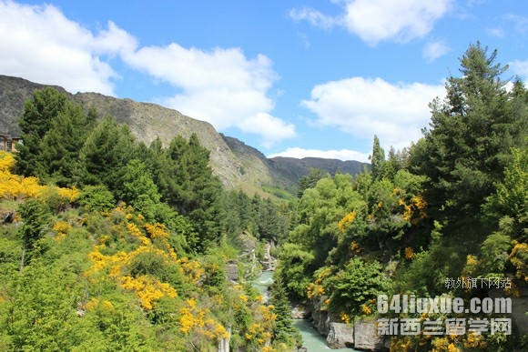 新西兰it专业就业前景