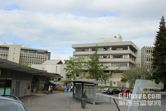 新西兰怀卡托大学申请