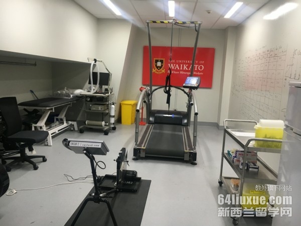 申请怀卡托大学硕士流程