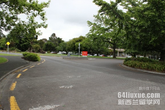 新西兰怀卡托大学要求