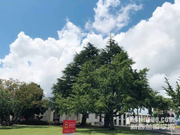 怀卡托大学专业
