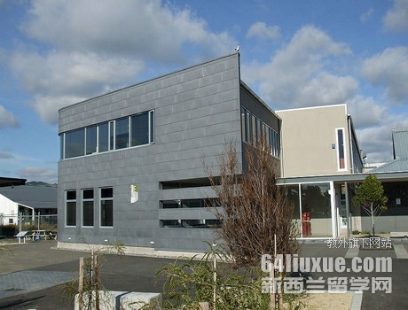 维特利亚国立理工学院专业