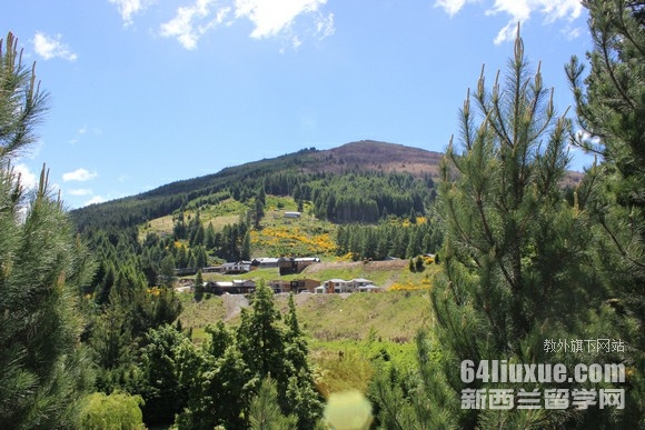 新西兰留学商学院世界排名
