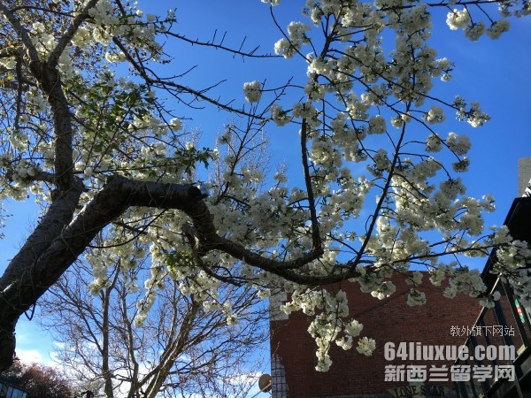 新西兰留学奥塔哥大学
