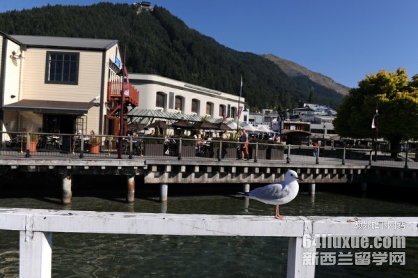 新西兰留学预科在哪