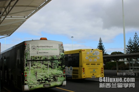 新西兰专科留学本科