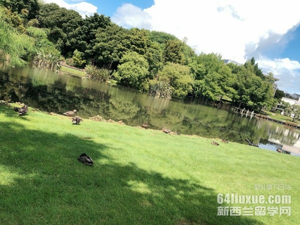 新西兰怀卡托大学