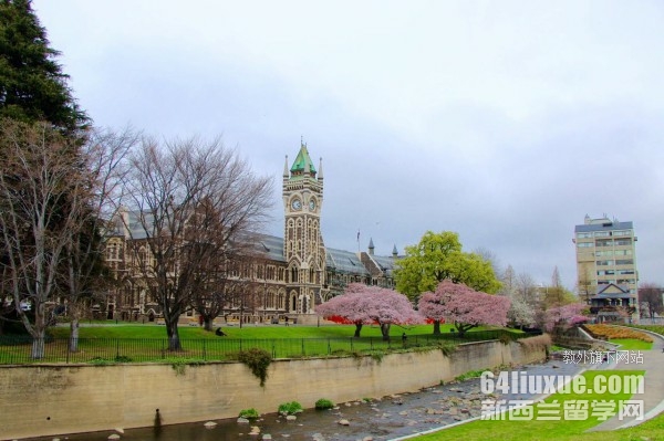 新西兰国内大学排名