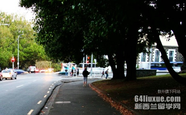 新西兰奥克兰大学音乐
