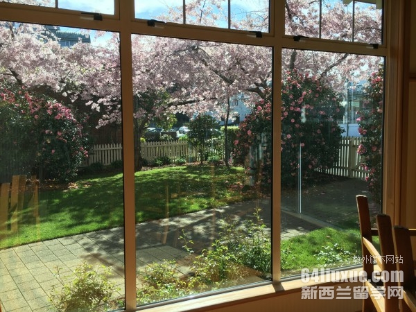 新西兰大学入学条件要求