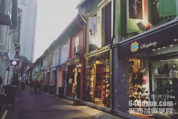 新加坡大学教育硕士研究生
