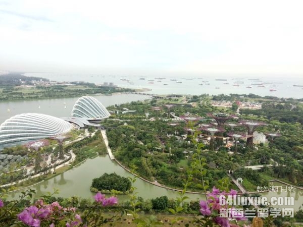 新加坡科廷大学商科专业
