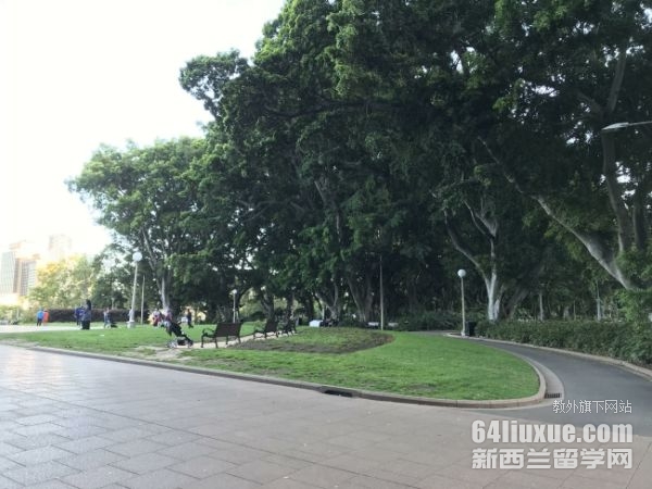 新西兰的奥塔哥大学