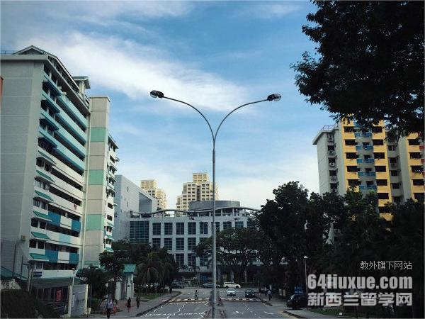 新加坡国立大学学院
