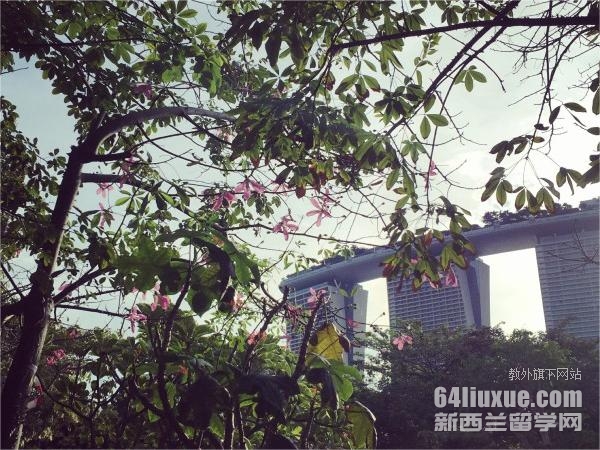 新加坡管理学院硕士读几年