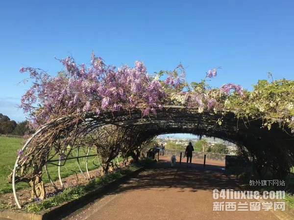 去新西兰留学一年花费多少钱