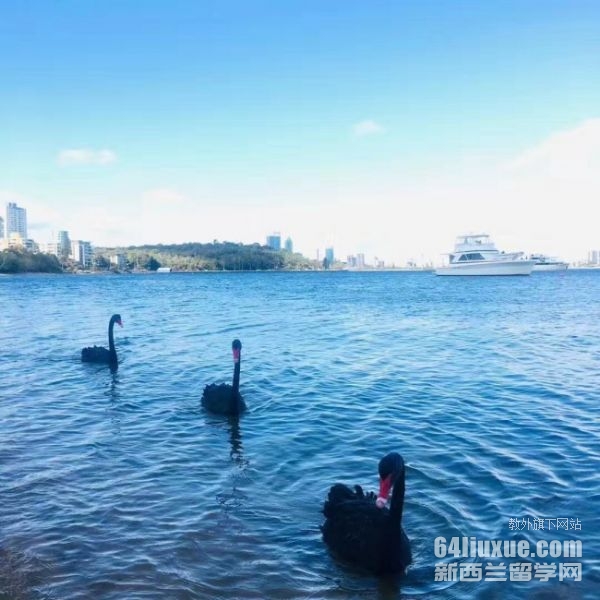 澳洲留学热门专业分析