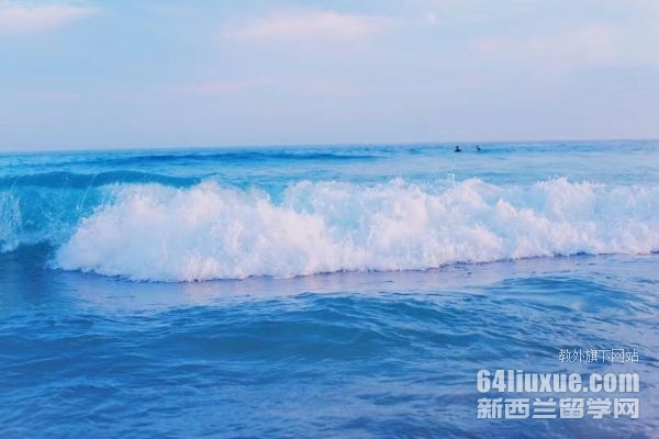 莫道克大学qs排名