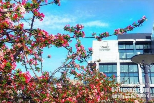 英国本科申请研究生需要雅思吗
