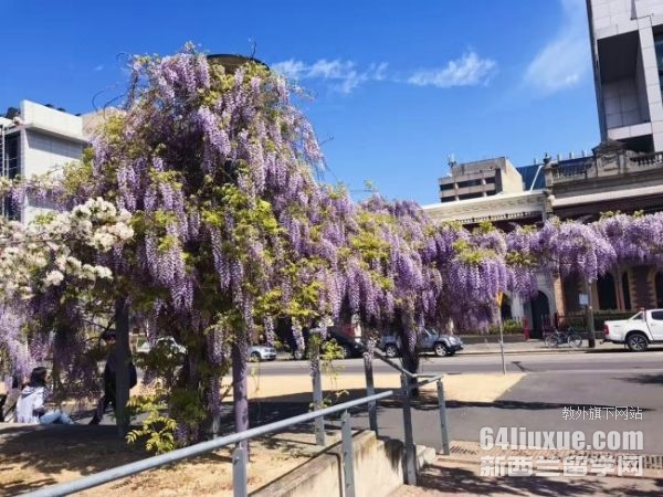 英国有名的留学生大学