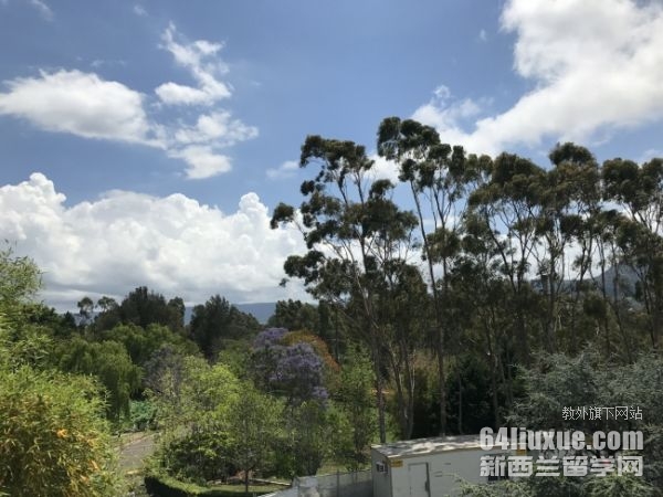 多伦多大学法学硕士申请条件