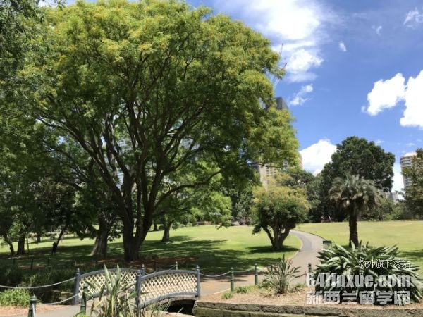 多伦多大学法学硕士申请条件