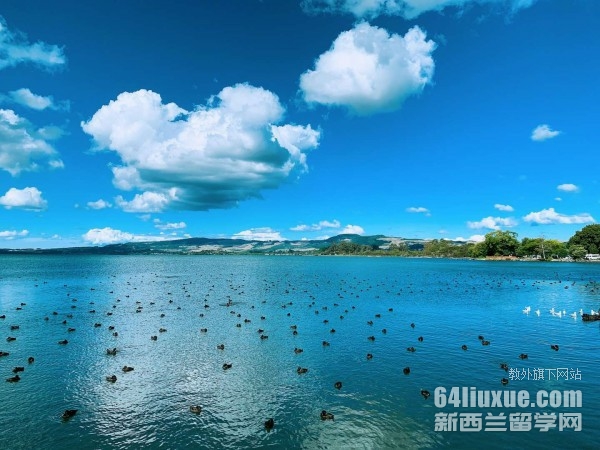 新西兰麦克林斯中学