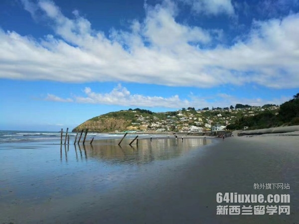 ����������רҵ��ѧ��ѧ