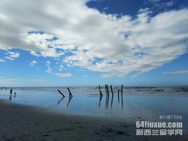 Сѧ��������ѧһ����ö���Ǯ