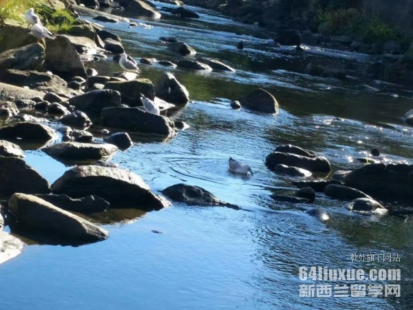 ��������ѧ�����רҵ