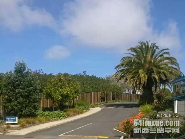 �����д�ѧ����רҵ