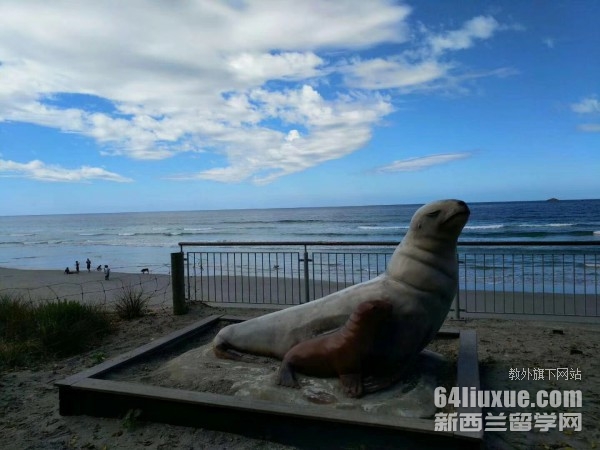 �������ѧ����