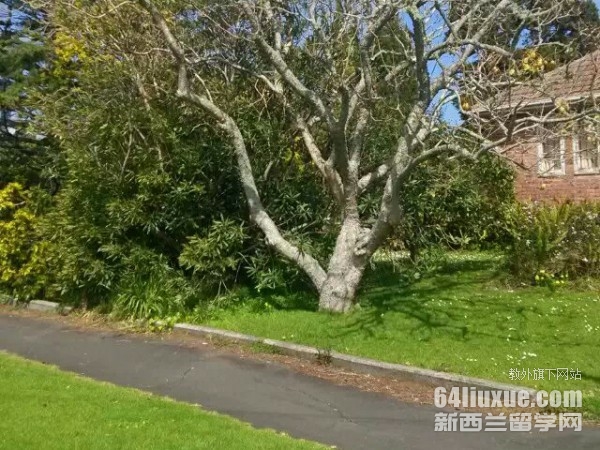 ��������ѧǩ֤�������