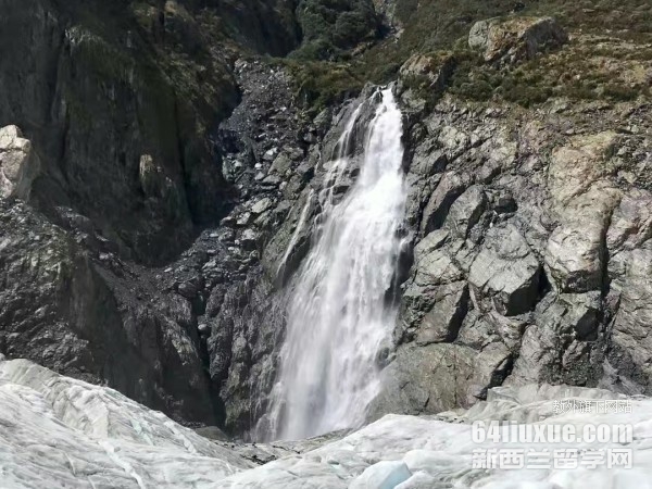 �����������רҵ��ѧѧУ