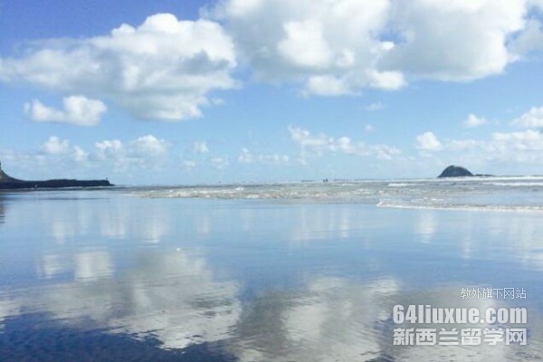 新西兰读研一年费用多少