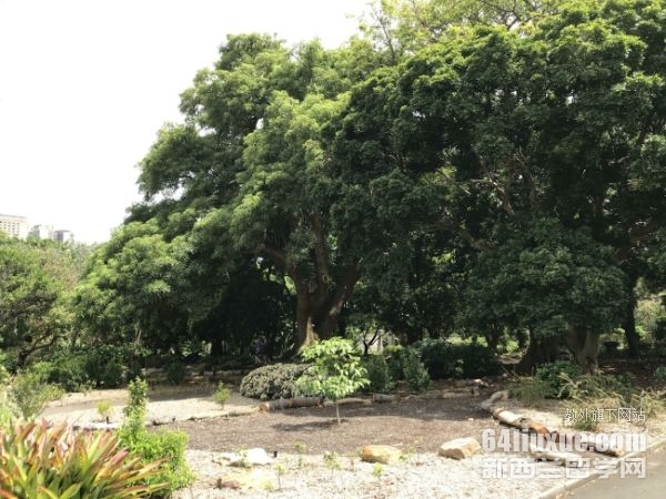 加拿大英属哥伦比亚大学