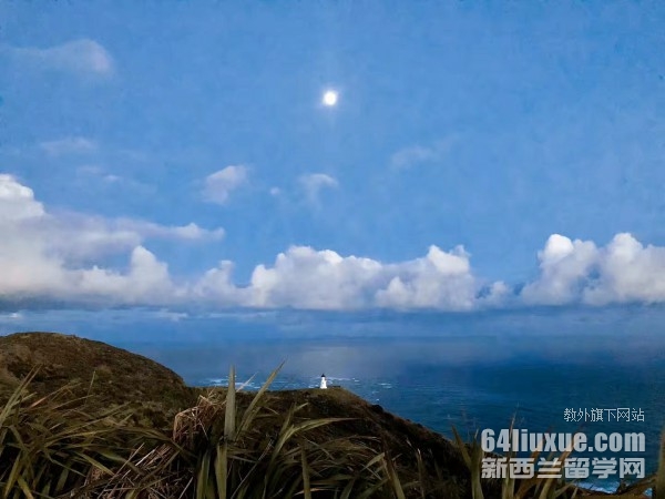 新西兰怀卡托大学的排名