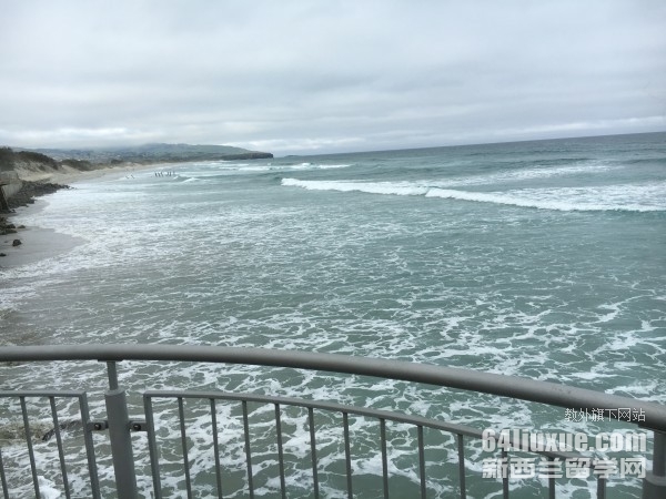 新西兰视觉传达专业留学