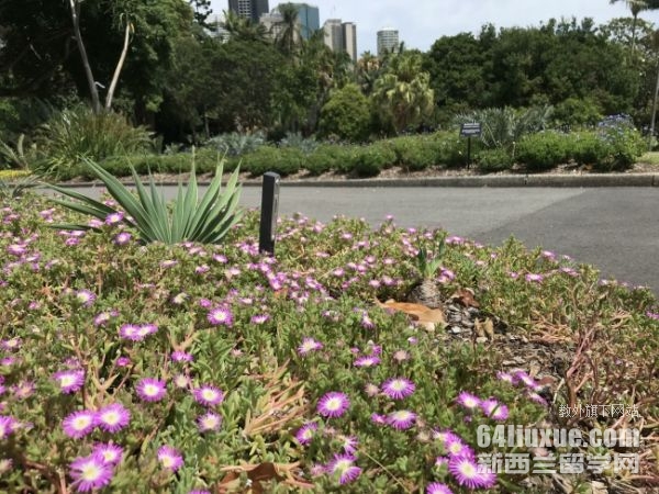 麦吉尔大学医学院世界排名