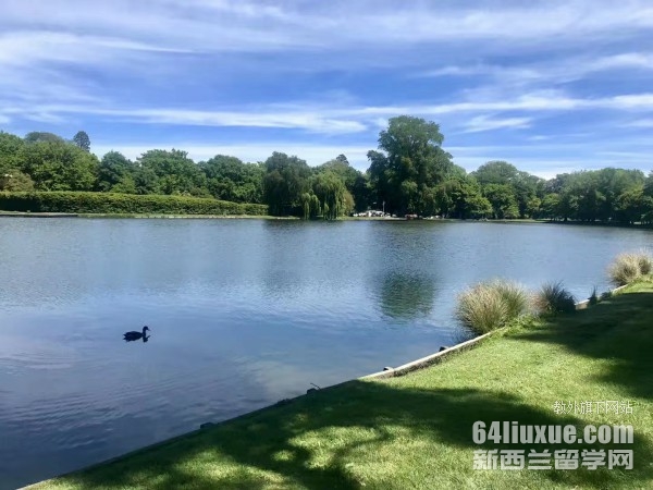 怀卡托大学留学费用